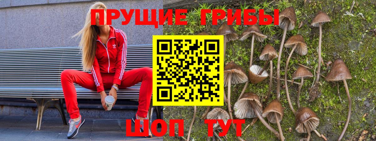 Псилоцибиновые грибы MAGIC MUSHROOMS Ставрополь