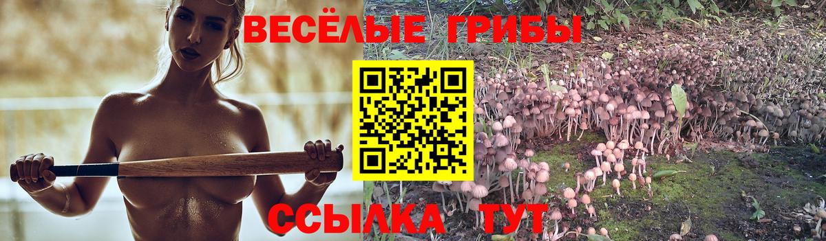 Ставрополь  Псилоцибиновые грибы Psilocybine cubensis  Псилоцибиновые грибы ЛСД  купить закладку  Вход с VPN 